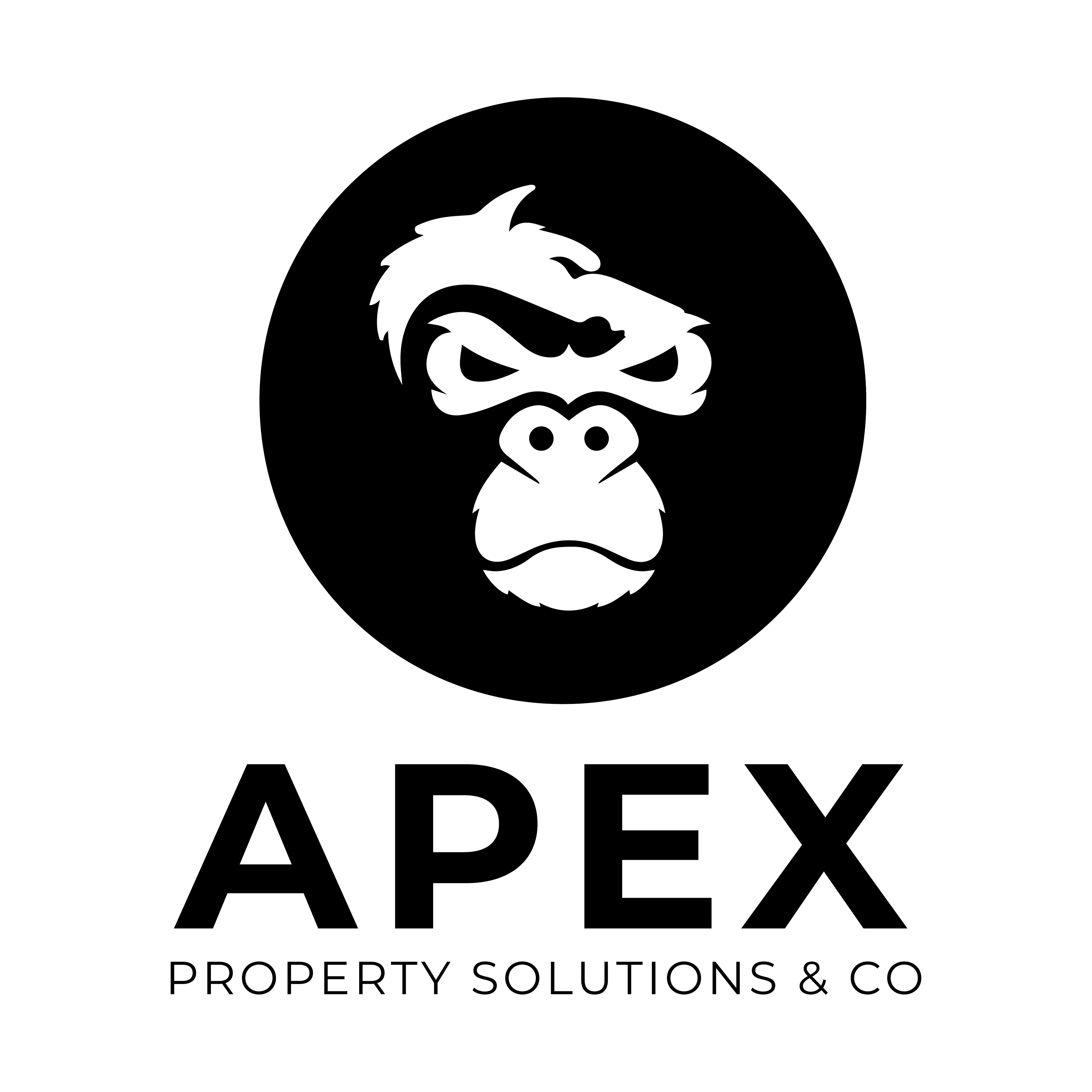 APEX Property Solutions & Co